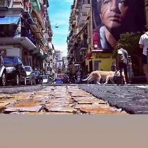 http://